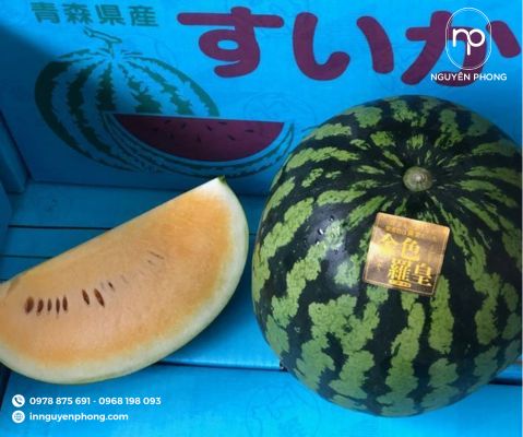 in tem dán dưa hấu ánh vàng